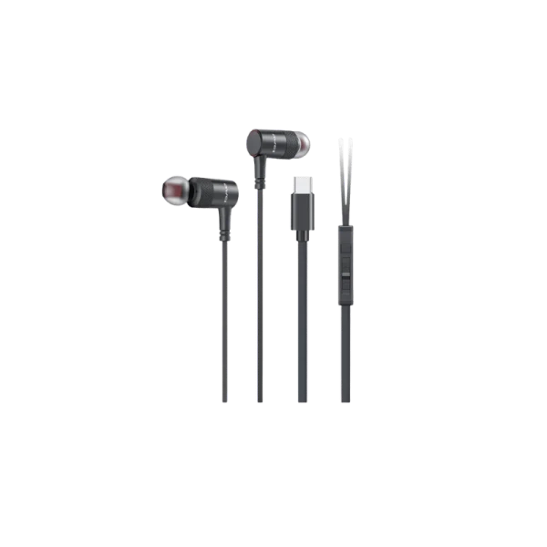 AWEI PC-9T Type-C Wired Earphones with HD Mic & 10mm Driver