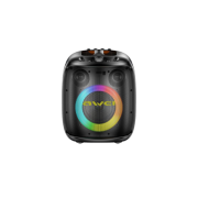 AWEI KA22 Outdoor Bluetooth Speaker