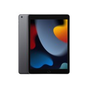 iPad 9th gen