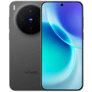 Vivo X300