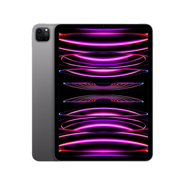 iPad Pro 11" M2