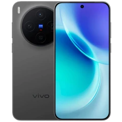 Vivo X300